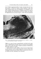 giornale/CFI0298588/1928-1929/unico/00000073
