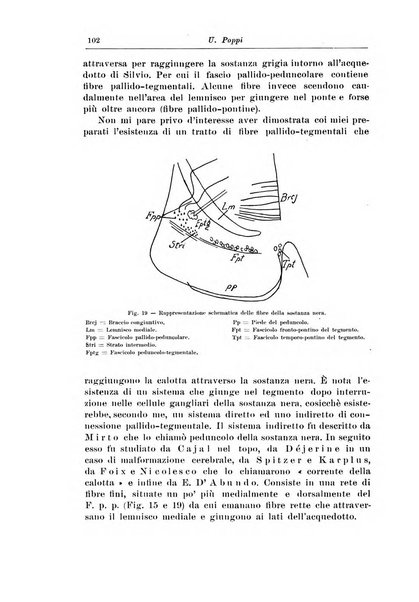 Rivista di patologia nervosa e mentale