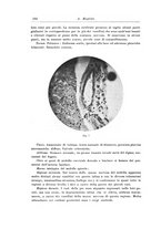 giornale/CFI0298588/1928-1929/unico/00000138