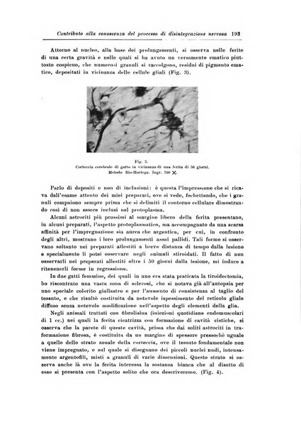 Rivista di patologia nervosa e mentale