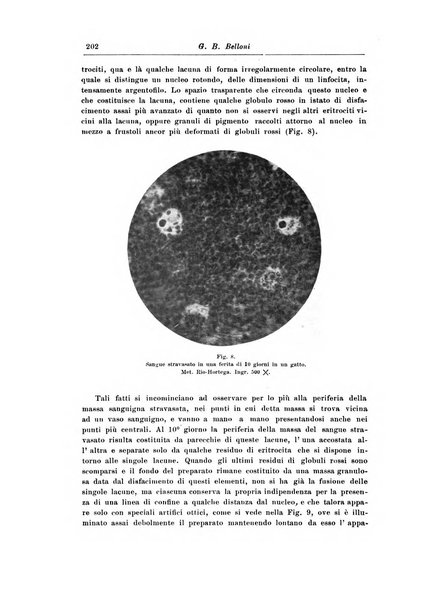 Rivista di patologia nervosa e mentale