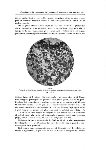 Rivista di patologia nervosa e mentale