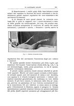 giornale/CFI0298588/1928-1929/unico/00000295