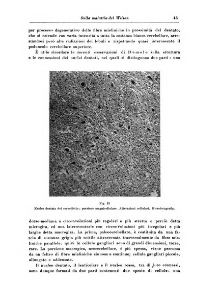 Rivista di patologia nervosa e mentale