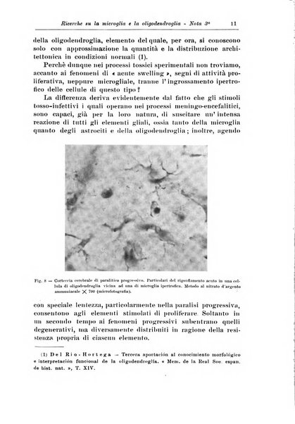 Rivista di patologia nervosa e mentale