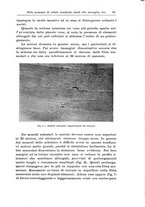 giornale/CFI0298588/1931/V.37/00000053