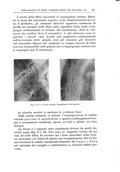 Rivista di patologia nervosa e mentale