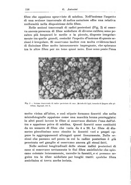 Rivista di patologia nervosa e mentale