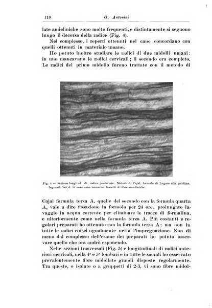 Rivista di patologia nervosa e mentale