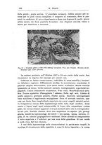 giornale/CFI0298588/1931/V.37/00000202