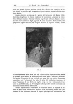 giornale/CFI0298588/1931/V.37/00000590