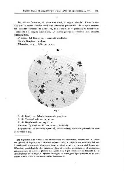 Rivista di patologia nervosa e mentale