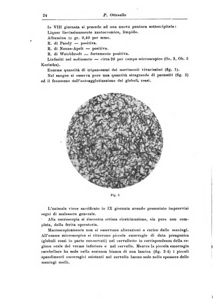 Rivista di patologia nervosa e mentale