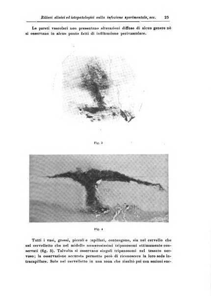 Rivista di patologia nervosa e mentale