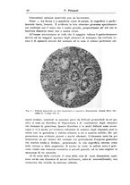 giornale/CFI0298588/1933/V.41/00000098