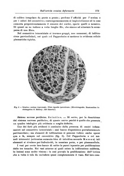 Rivista di patologia nervosa e mentale