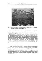 giornale/CFI0298588/1933/V.41/00000540