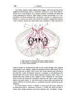 giornale/CFI0298588/1933/V.41/00000598