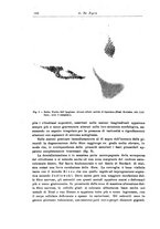 giornale/CFI0298588/1933/V.42/00000186