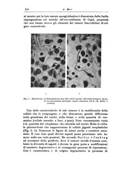 Rivista di patologia nervosa e mentale