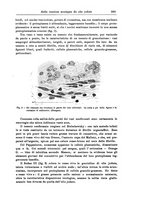 giornale/CFI0298588/1933/V.42/00000381