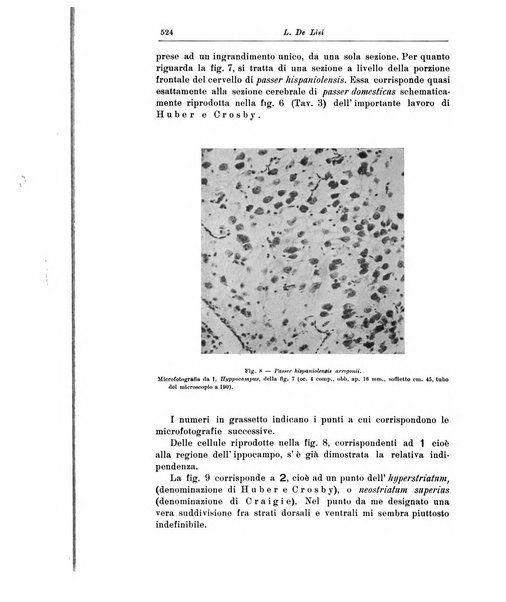 Rivista di patologia nervosa e mentale