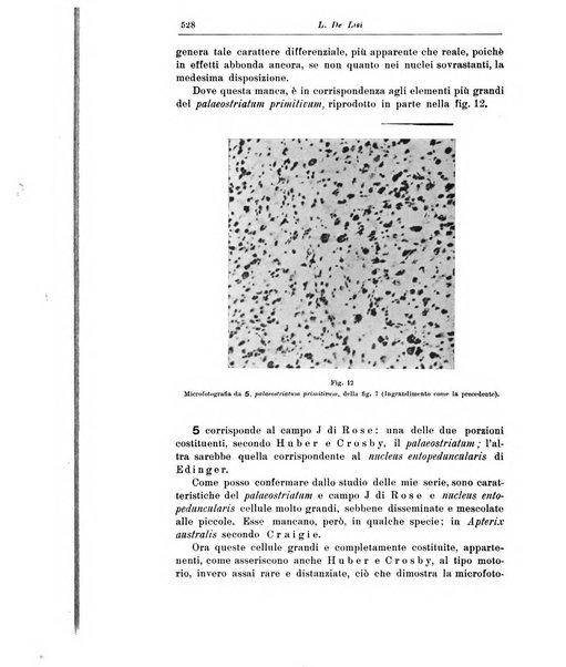 Rivista di patologia nervosa e mentale