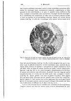 giornale/CFI0298588/1933/V.42/00000578