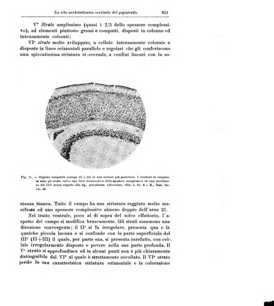 Rivista di patologia nervosa e mentale