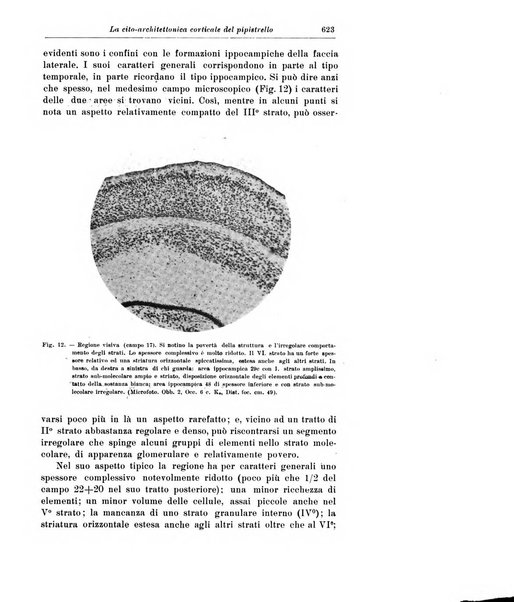 Rivista di patologia nervosa e mentale