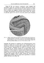 giornale/CFI0298588/1933/V.42/00000661