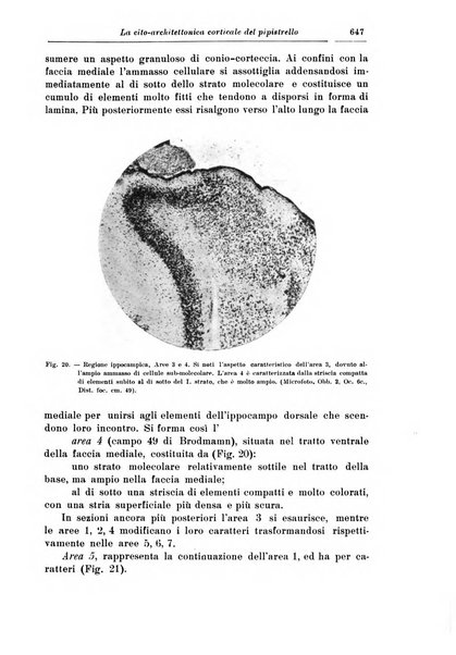 Rivista di patologia nervosa e mentale