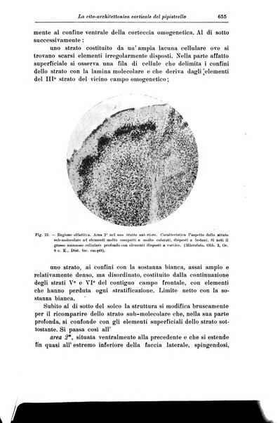 Rivista di patologia nervosa e mentale