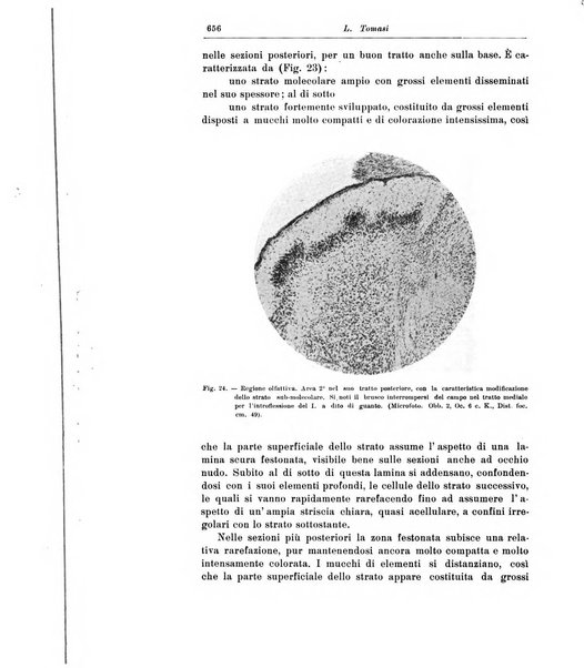 Rivista di patologia nervosa e mentale