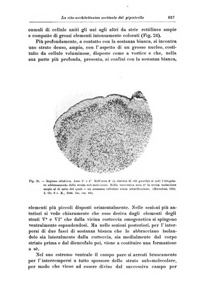 Rivista di patologia nervosa e mentale