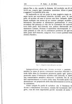 giornale/CFI0298588/1933/V.42/00000690