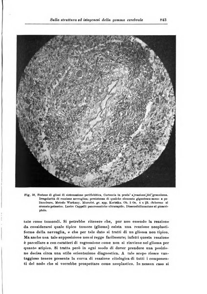 Rivista di patologia nervosa e mentale