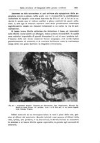 giornale/CFI0298588/1933/V.42/00000883