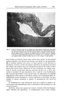 giornale/CFI0298588/1933/V.42/00000921