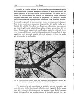 giornale/CFI0298588/1933/V.42/00000954