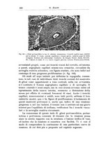 giornale/CFI0298588/1933/V.42/00000986
