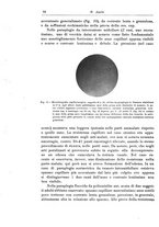 giornale/CFI0298588/1934/V.43/00000086