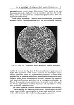 giornale/CFI0298588/1934/V.44/00000011
