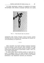giornale/CFI0298588/1934/V.44/00000045
