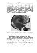 giornale/CFI0298588/1934/V.44/00000198