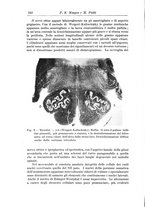 giornale/CFI0298588/1934/V.44/00000262