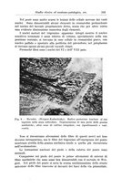 giornale/CFI0298588/1934/V.44/00000265