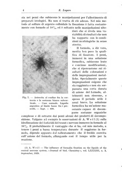 Rivista di patologia nervosa e mentale