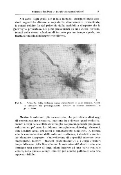 Rivista di patologia nervosa e mentale