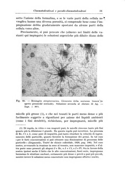 Rivista di patologia nervosa e mentale